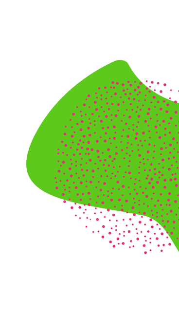 Charte graphique Kincy forme verte et points roses